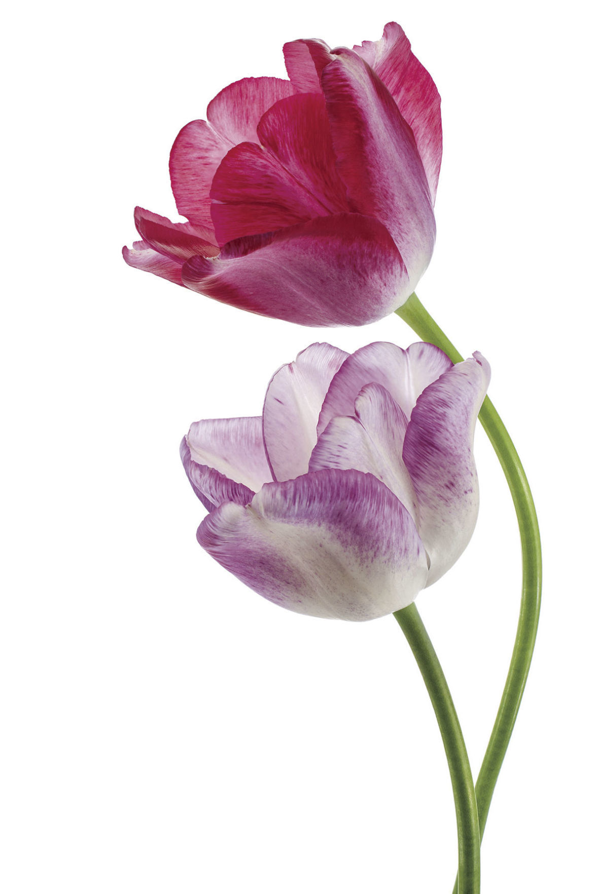 Remembering loved ones